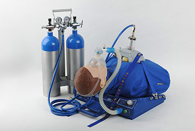 <a href=http://www.lisafan.com/news_article?news_id=126>心肺復(fù)蘇機(jī)</a>